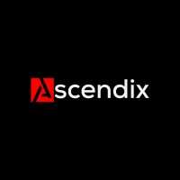 Ascendix Consulting logo - Similar company to Netfira