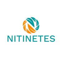 Nitinetes Digital Solution logo - Similar company to Pt Dilato Information Technology