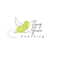 Flying Iguana Coaching & Leadership Development logo - Similar company to Layton Potential