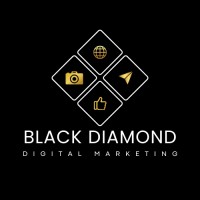 Black Diamond Digital Marketing logo - Similar company to Logiscool Ltd.