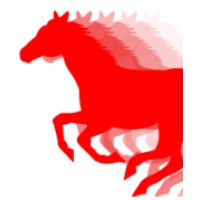 RedBrumbies logo - Similar company to Sokoright