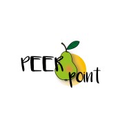 PEERpoint Herstelacademie logo - Similar company to Getahead Brain Recovery Support