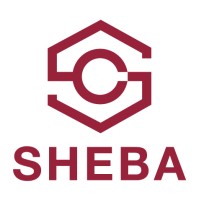 Sheba Consult logo - Similar company to Sheba Consulting