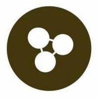 Washington Network Group (Wng)