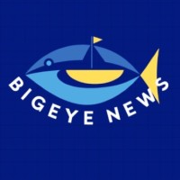 BigEye News logo - Similar company to Leal Santos