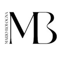 MARIO BOLOGNA TRADING LLC logo - Similar company to Citystruct