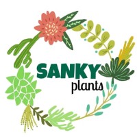 Sanky Plants logo - Similar company to Artisonal