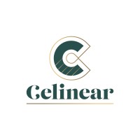 Celinear logo - Similar company to Impetus. Business Accelerated