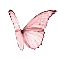 Pink Gossip logo - Similar company to Remint