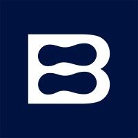 Bricman logo - Similar company to Dislupesca C.A.