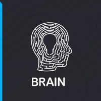 Brain Mkt
