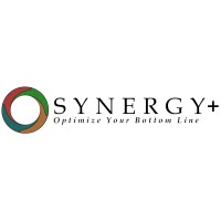 Synergy+ Business Consulting logo - Similar company to Digital Ace Llc