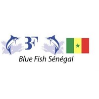 BLUE FISH SENEGAL logo - Similar company to Blue Fish