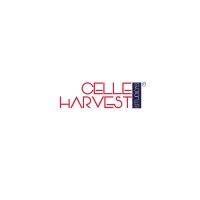 Celleharvest Studios logo - email format related to BridgeCom Narratives