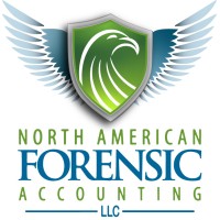 North American Forensic Accounting Llc