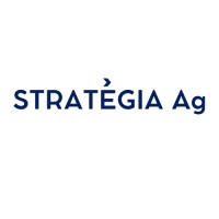 Strategia Ag logo - Similar company to Dojo Software Aps