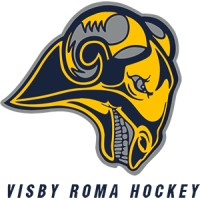 Visby Roma Hockey Ungdom logo - Similar company to Flow Visby