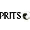 ESPRITSOR logo - Similar company to Lerned