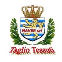 MAVER s.r.l. logo - Similar company to Iaweb