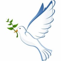 DOVE GROUP, LLC logo - Similar company to Pontchartrain Mep, Llc