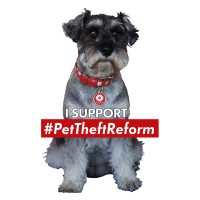 Pet Theft Reform logo - Similar company to Wage Theft Direct Action Team / Equipo De Acción Directa