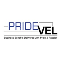 PrideVel Consulting LLC logo - Similar company to 73 Systems