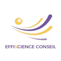 Effiscience Conseil logo - Similar company to Ambpe