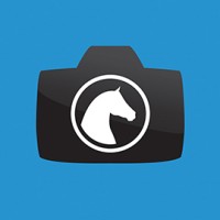 Horse Photo Experience