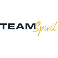 TeamSpirit logo - Similar company to Bin Mein Eigener Chef