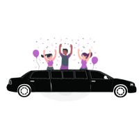 Limo Party Bus USA logo - Similar company to Limo Maxi Cabs