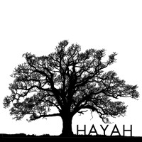 HAYAH Consulting LLC logo - Similar company to Three Rivers Midlands