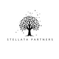 Stellata Partners logo - Similar company to Flexipy Oü | Python Software Engineering Hub