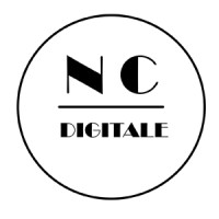 NC DIGITALE logo - Similar company to Webstarts