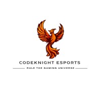 Codeknight Esports logo - Similar company to Glazer Studio