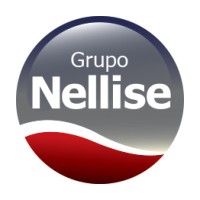 Grupo Nellise logo - Similar company to Lojas Nellise