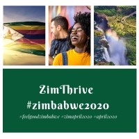 ZimThrive logo - Similar company to Seeff Zimbabwe