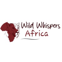 Wild Whispers Africa logo - Similar company to Theoryways.Com
