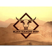 Black Diamond Beef Co. logo - Similar company to New Vision Foundation