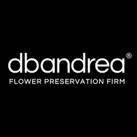 dbandrea® | Flower Preservation Firm logo - Similar company to Accelerate Auto Group