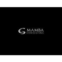 Mamba Consulting logo - Similar company to Mamba Partners