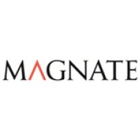 Magnate Advisory Partners LLC logo - Similar company to Logisyn Advisors