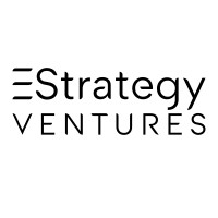 EStrategy Ventures logo - Similar company to Management.Org