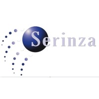 Serinza Instalaciones SL logo - Similar company to Iadn