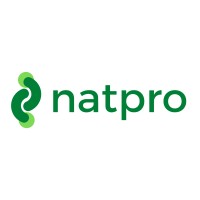 Natpro Indonesia logo - Similar company to Ponesa Games
