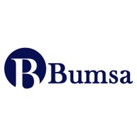 Bumsa Inc. logo - Similar company to L1 Supply