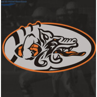 Badalona Dracs logo - Similar company to Lee Young Badalona