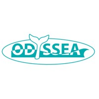 Odyssea Marine Research and Awareness logo - Similar company to Whale Guardians™