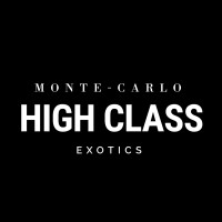 High Class Exotics logo - Similar company to Aere Network