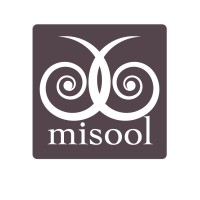 Misool logo - Similar company to Misool Foundation