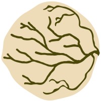 Caminho da Mata logo - Similar company to Grupo De Pesquisa Em Inovação, Projetos E Processos